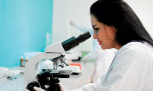 L’industrie agroalimentaire a vu l’intérêt d’une production d’arômes de synthèse, beaucoup moins chers à élaborer que les arômes naturels.