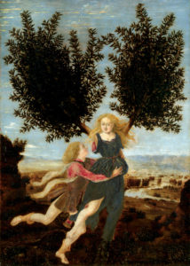 Aimée d’Apollon, la nymphe Daphnée fut métamorphosée en laurier au feuillage persistant.